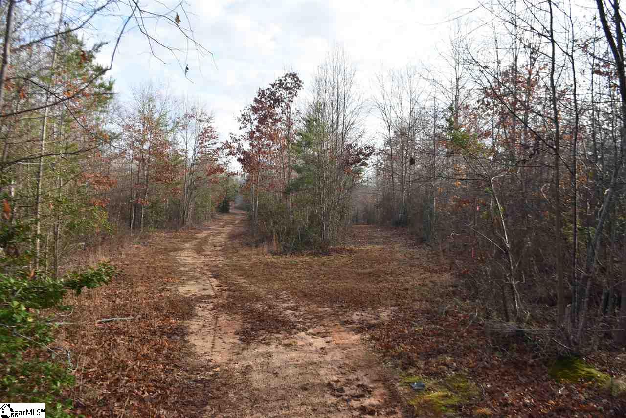 155 Gunter Road, Unit LOT 1 AND 2 Piedmont, SC 29673 - Photo 8 of 20