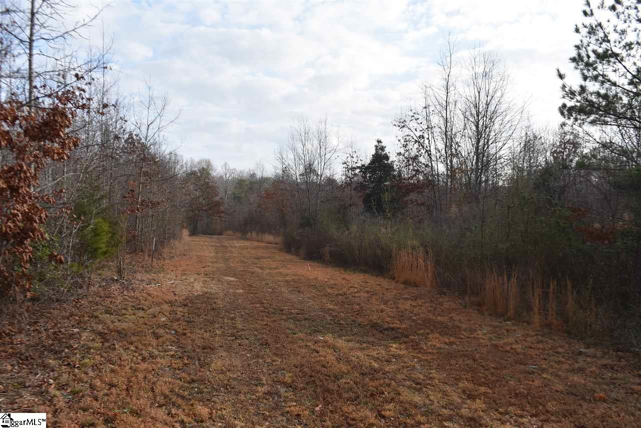 155 Gunter Road, Unit LOT 1 AND 2 Piedmont, SC 29673 - Photo 9 of 20