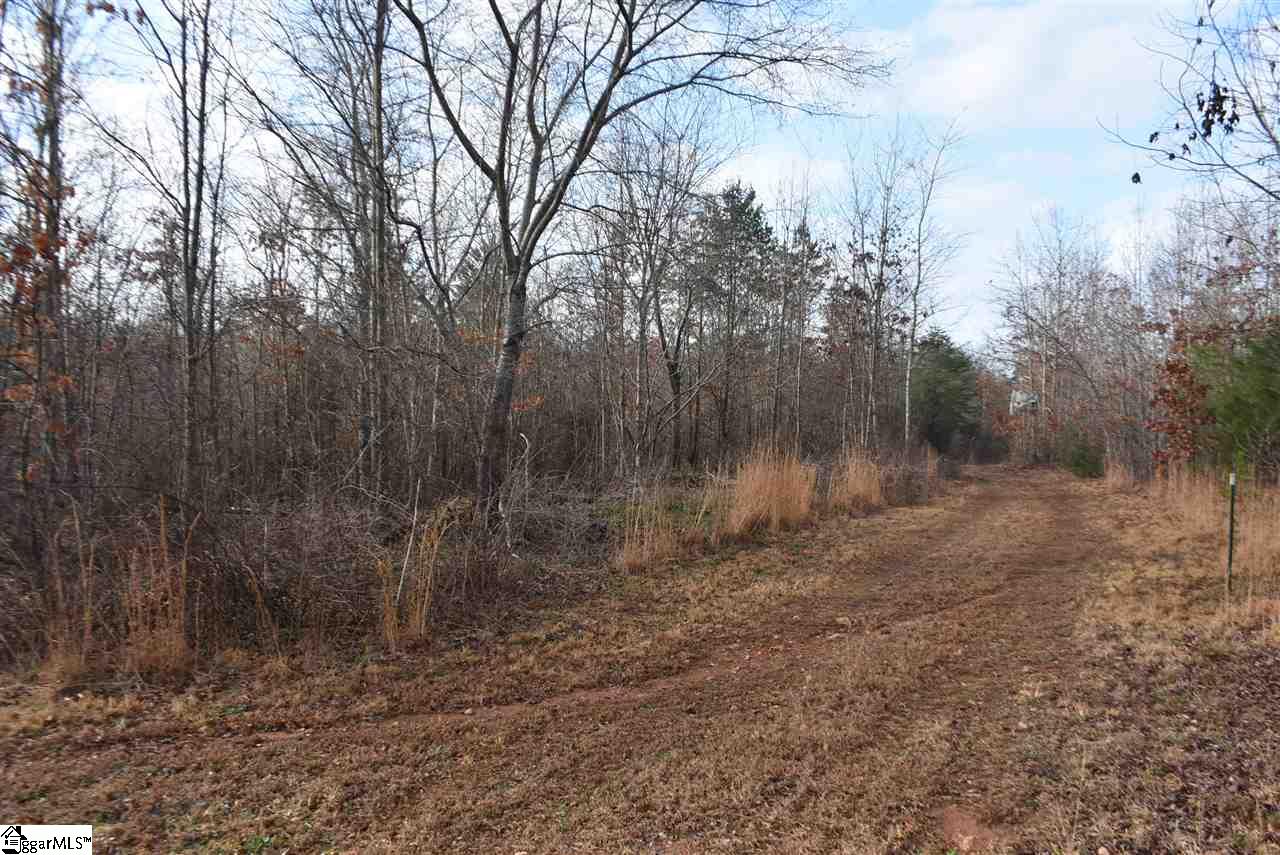 155 Gunter Road, Unit LOT 1 AND 2 Piedmont, SC 29673 - Photo 10 of 20