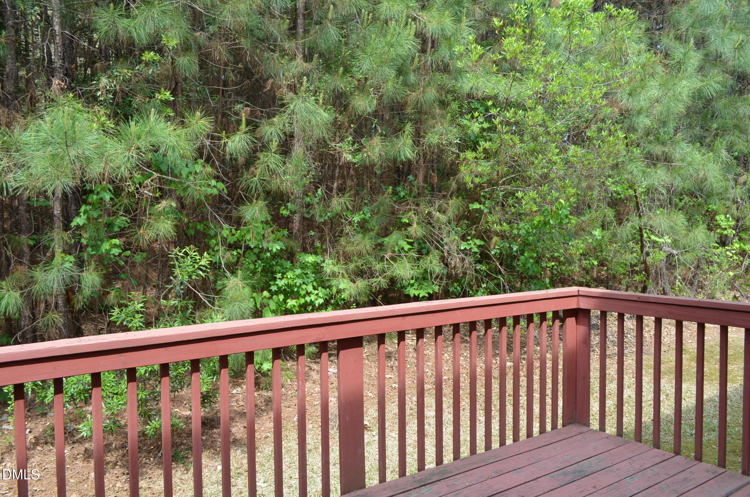 1005 Double Spring Court Apex, NC 27502 - Photo 32 of 62 DSC_2349