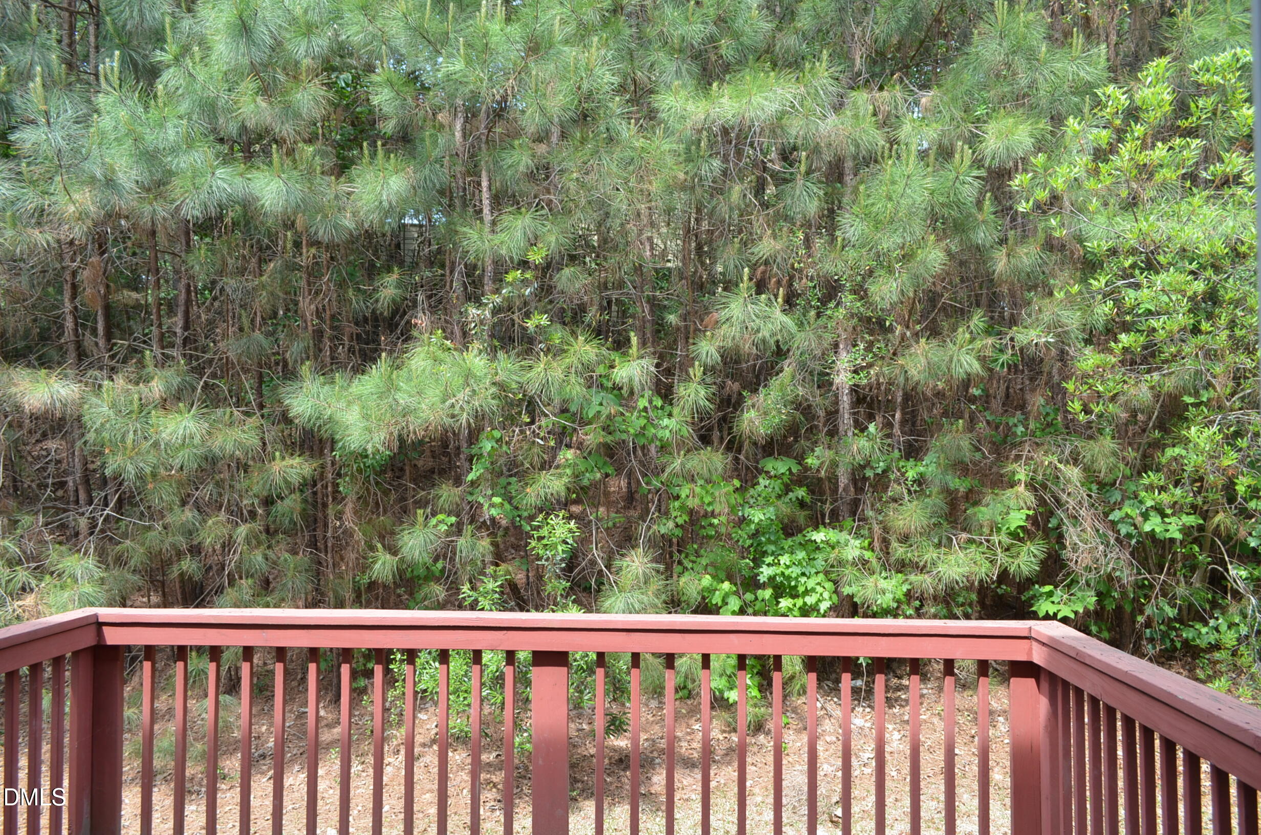 1005 Double Spring Court Apex, NC 27502 - Photo 33 of 62 DSC_2350
