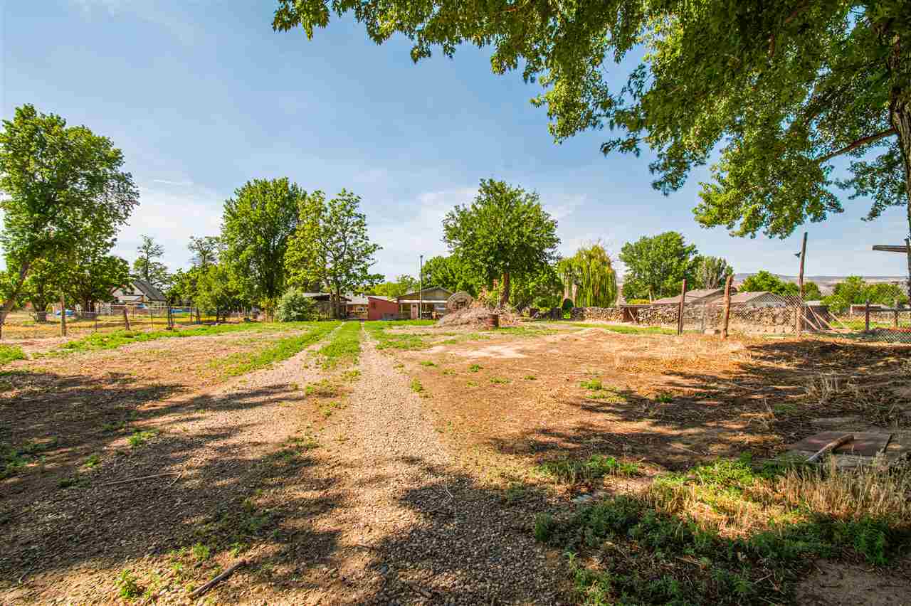 1862 J Road Fruita, CO 81521 - Photo 20 of 22 a view of yard with trees