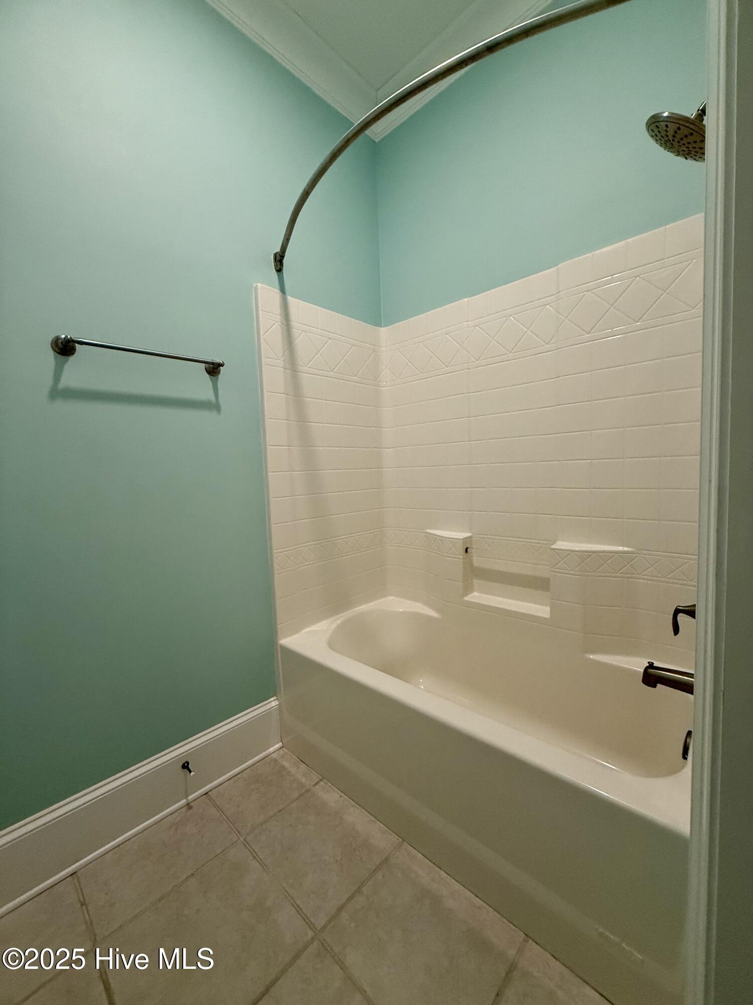 1380 Bear Trap Road Williamston, NC 27892 - Photo 105 of 117 Guest Bathroom #3