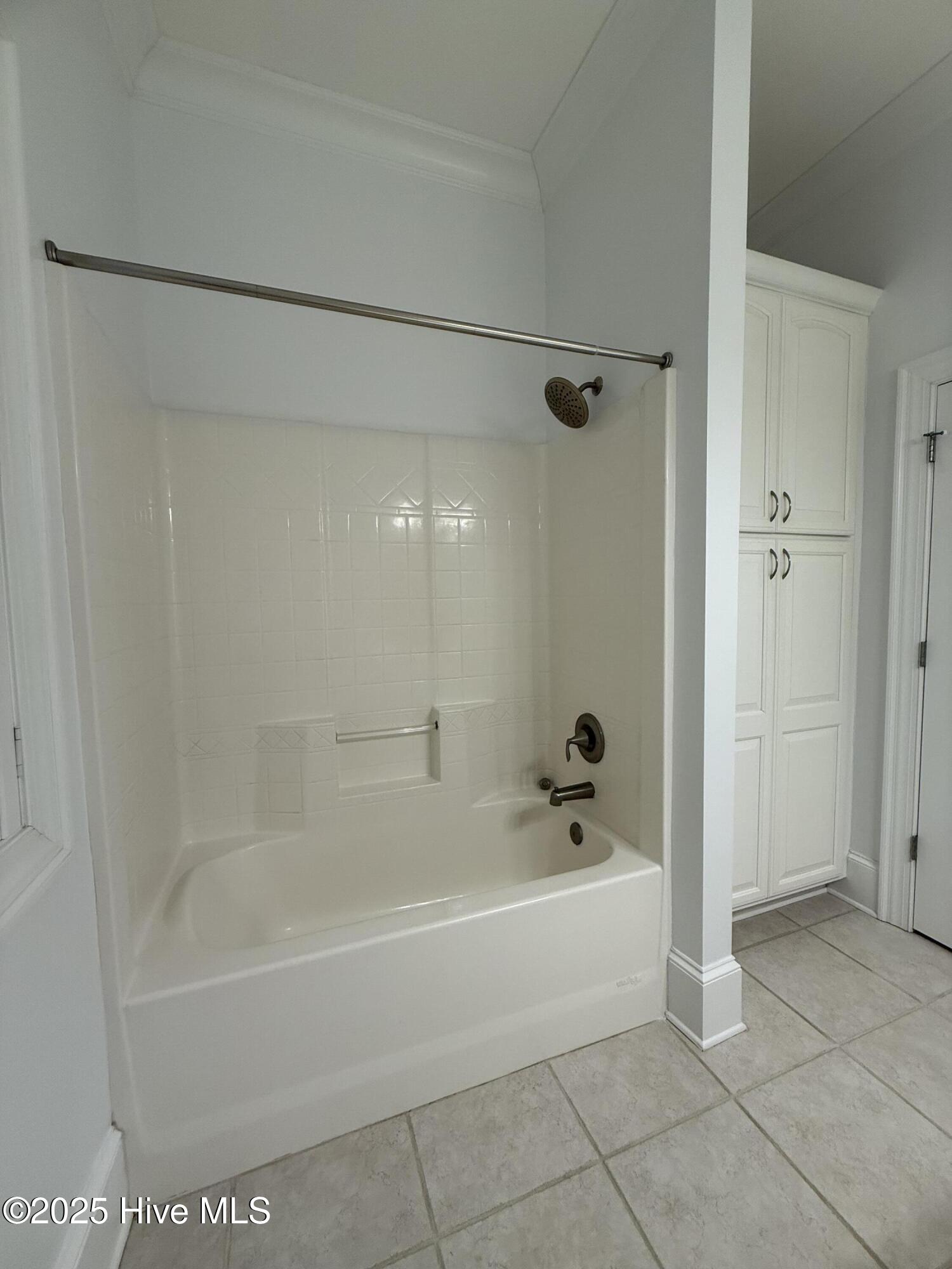 1380 Bear Trap Road Williamston, NC 27892 - Photo 88 of 111 Master Bathroom #2
