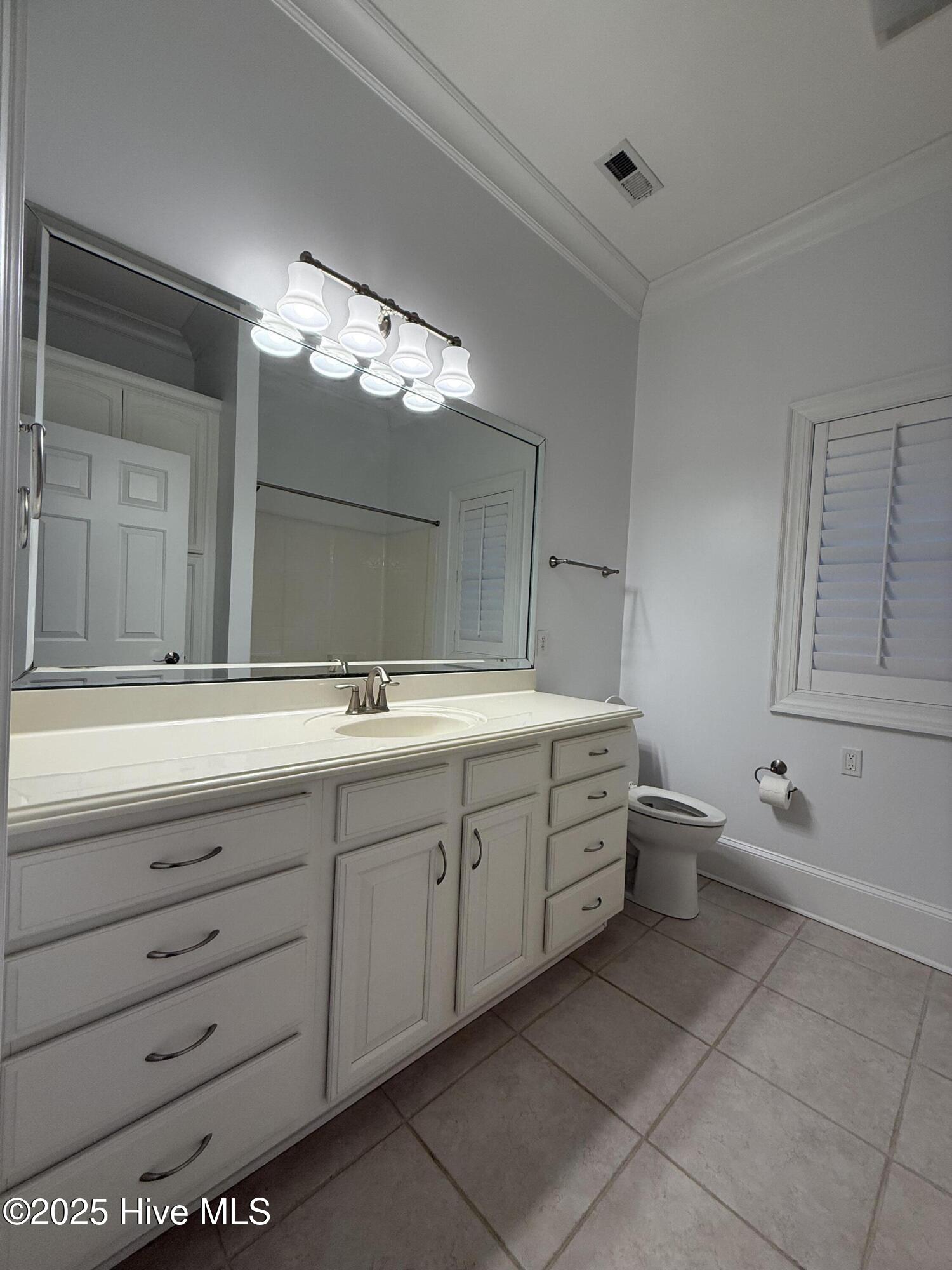 1380 Bear Trap Road Williamston, NC 27892 - Photo 93 of 117 Master Bathroom #2