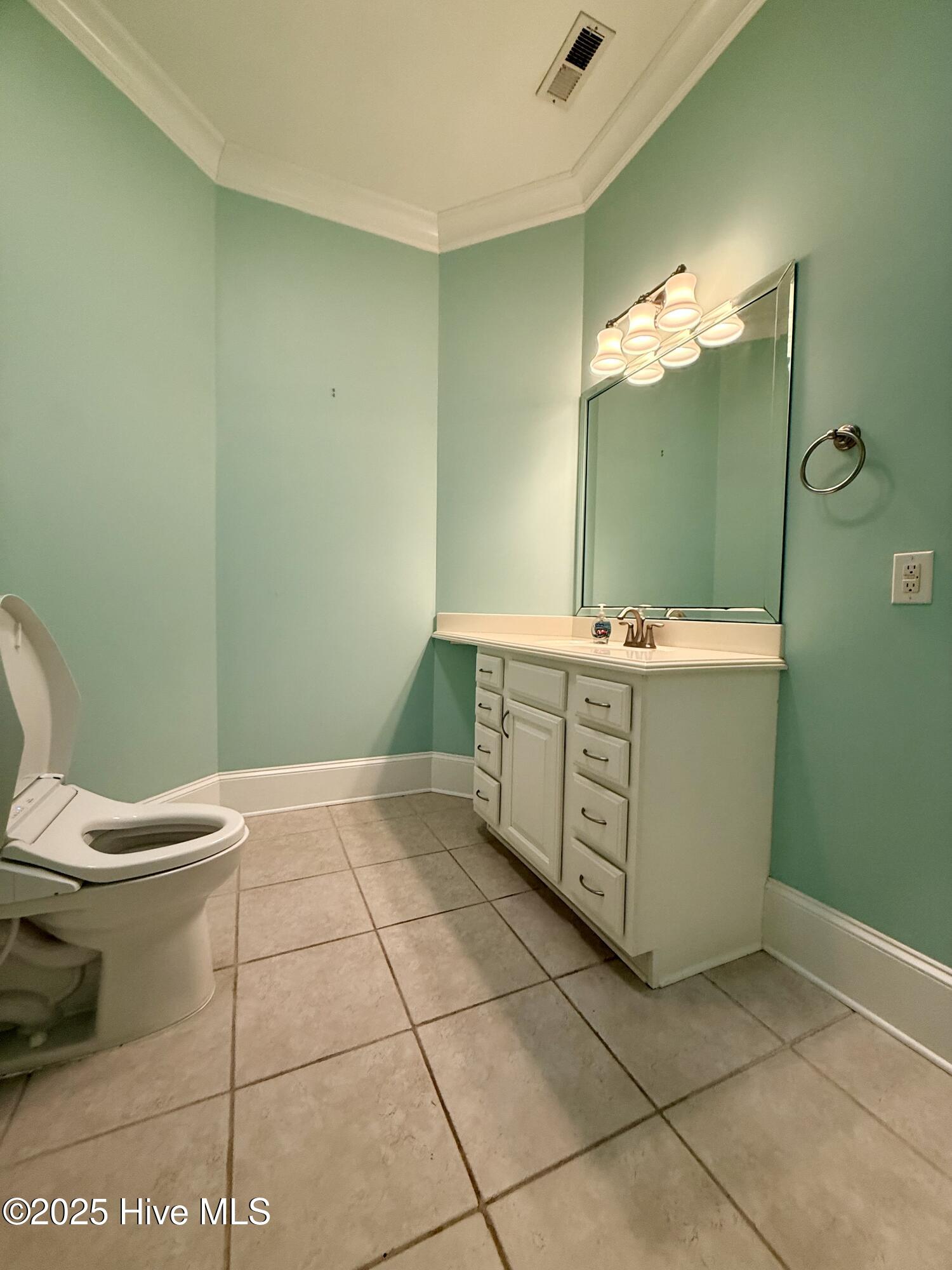 1380 Bear Trap Road Williamston, NC 27892 - Photo 96 of 111 Guest Bathroom #3