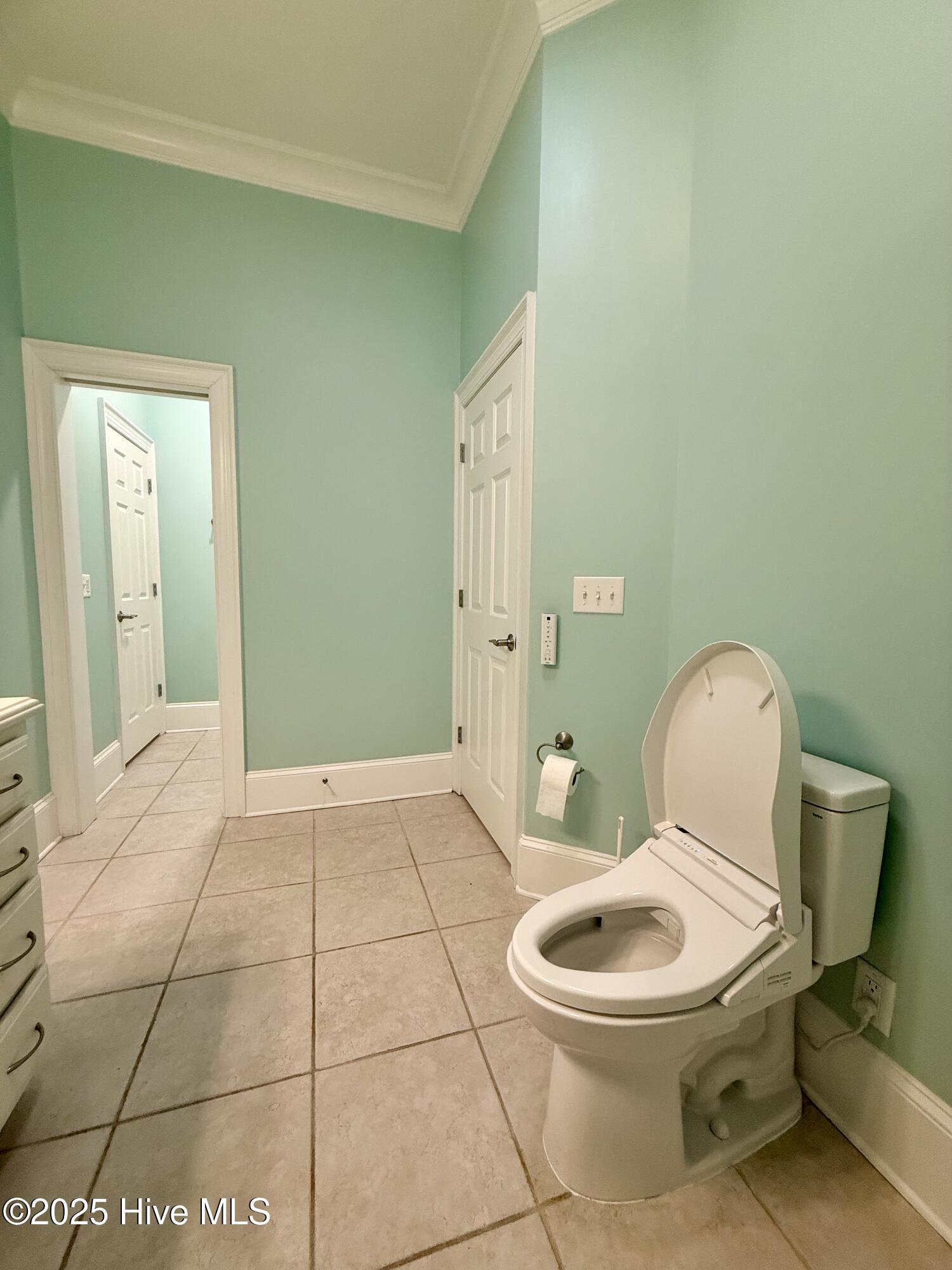 1380 Bear Trap Road Williamston, NC 27892 - Photo 97 of 111 Guest Bathroom #3