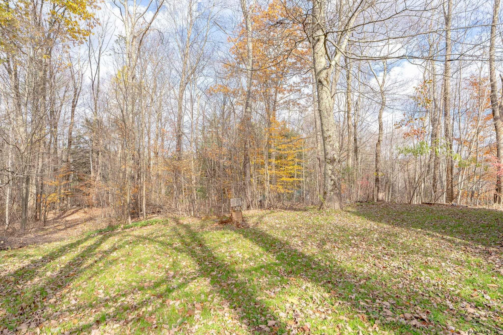 633 Moore Hill Road Stephentown, NY 12168 - Photo 12 of 34 Photo 14