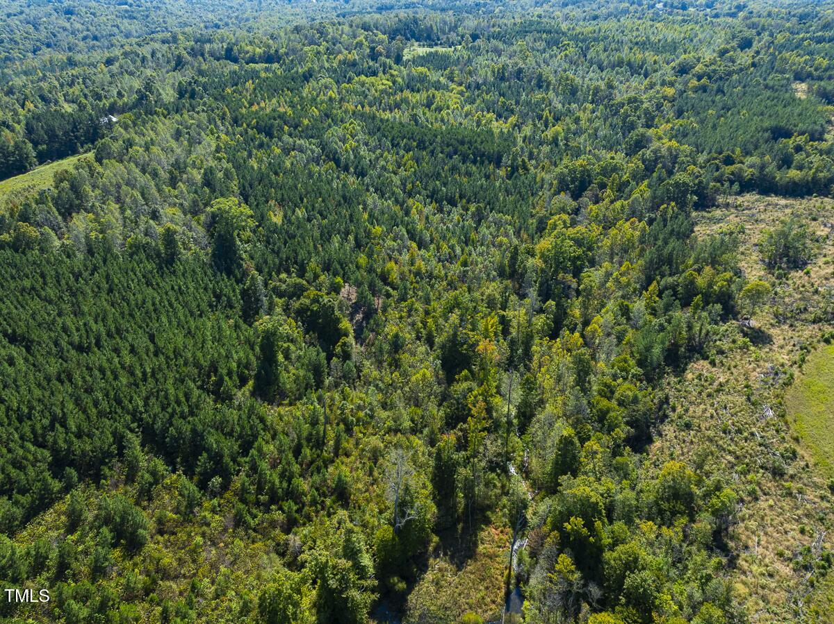 Lot-8-00 Wilson Road Providence, NC 27315 - Photo 6 of 45 Caswell Co. NC 16.55-Backwoods-Lot 8-06