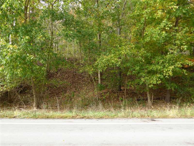 Eighty South Eighty Eight Road Dilliner, PA 15327 - Photo 1 of 8 Land/Lot.