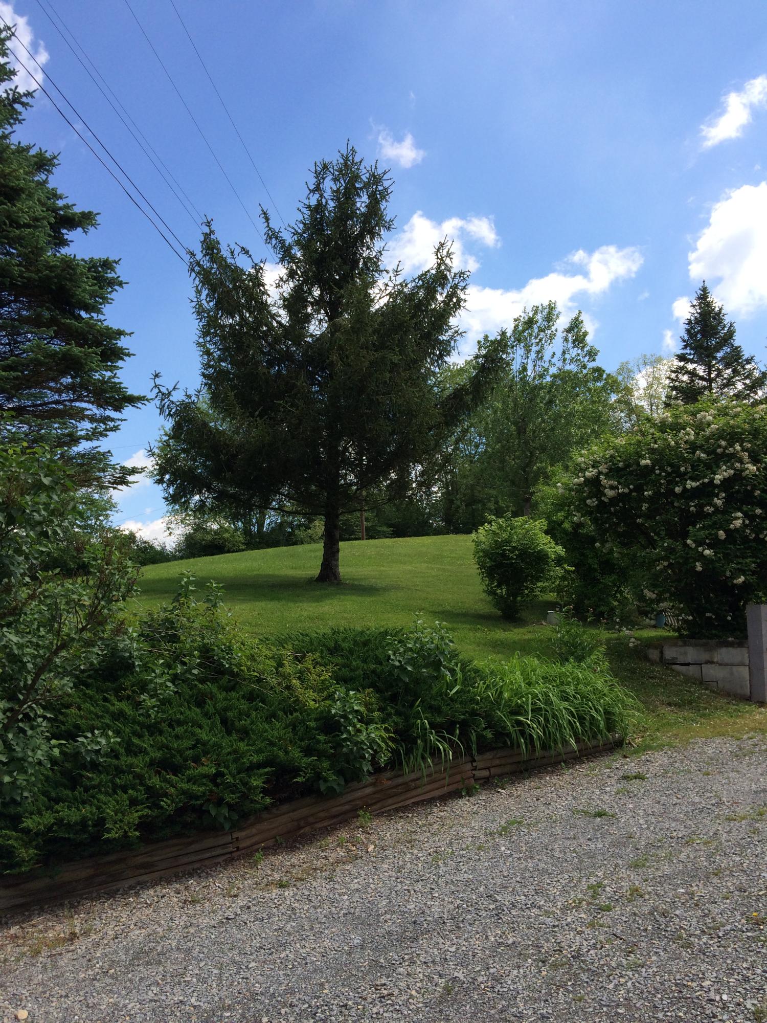 3377 Grassy Meadows Road Alderson, WV 24910 - Photo 8 of 24 Gallery Image 8