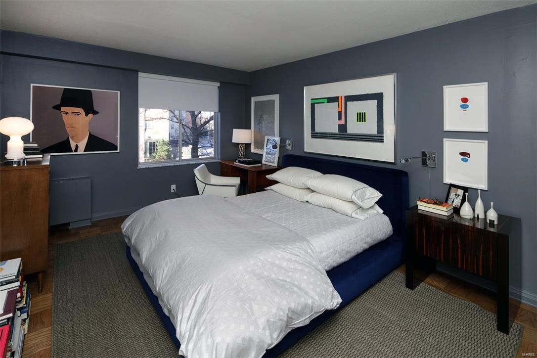 900 South Hanley Road, Unit 3B Clayton, MO 63105 - Photo 17 of 23