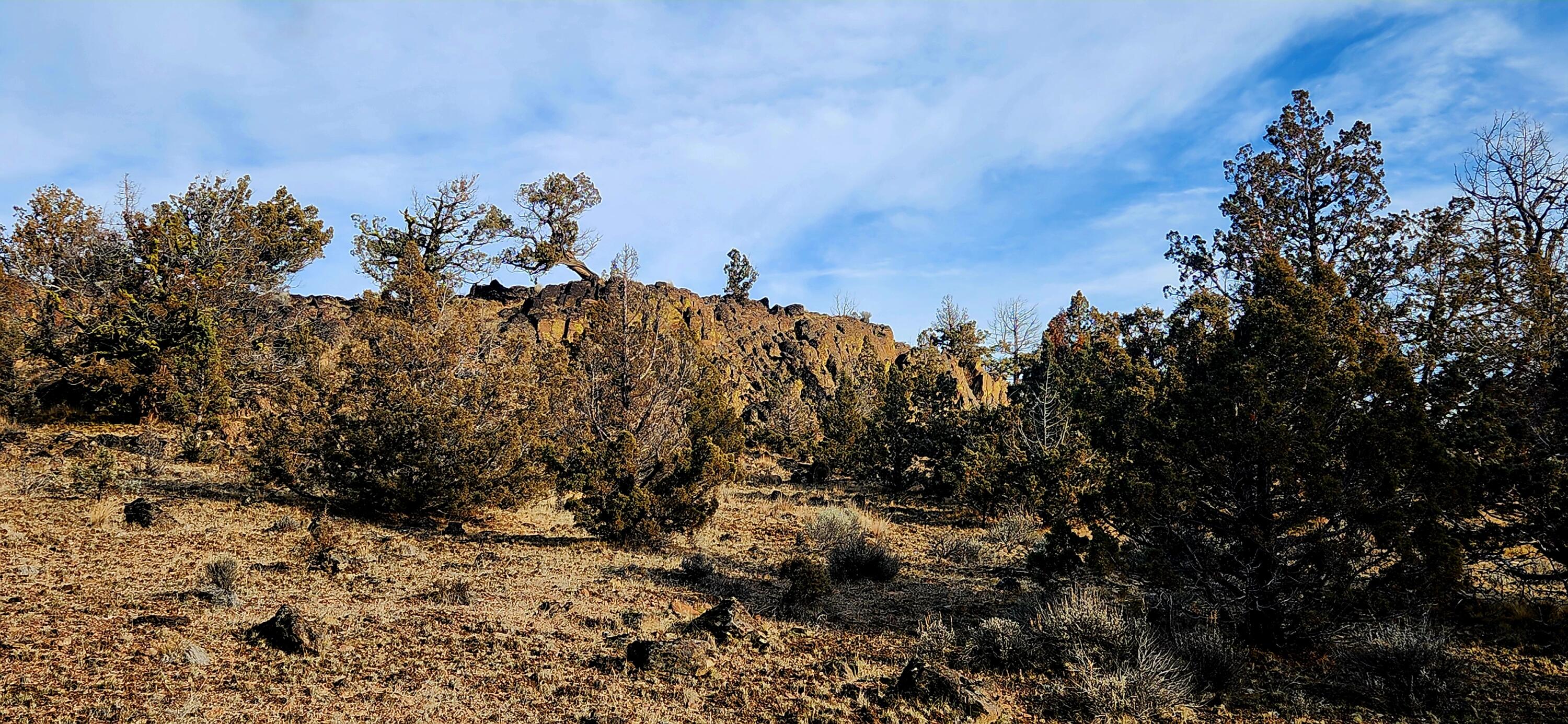 Merrill Road, Unit TL 1800 Prineville, OR 97754 - Photo 6 of 16 320ac_Img4