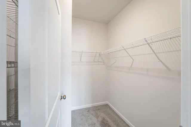 a bathroom with a shower and toilet