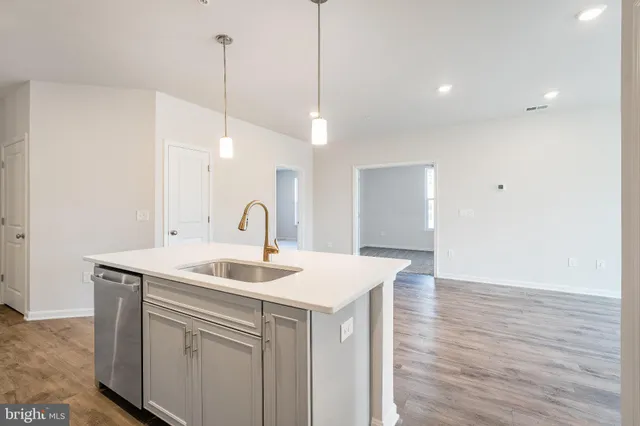 a kitchen with a sink and dishwasher with wooden floor