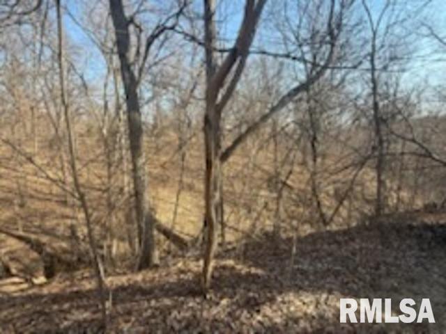 10425 133rd St Court West Taylor Ridge, IL 61284 - Photo 39 of 45 Gallery Image 39