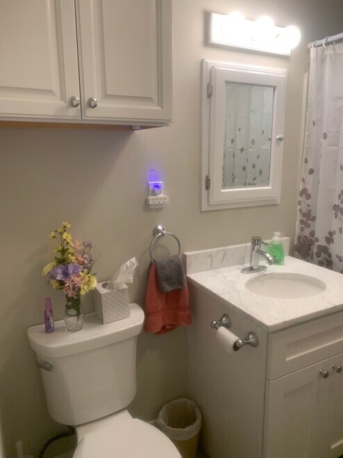 31 Snowling Road, Unit 2 Uxbridge, MA 01569 - Photo 4 of 6 a bathroom with a sink mirror and toilet