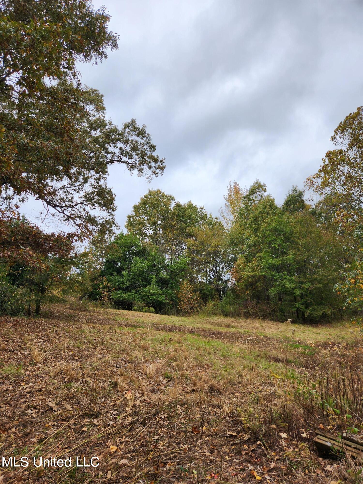 293 P Peach Orchard Road Senatobia, MS 38668 - Photo 1 of 16 peach orchard 1