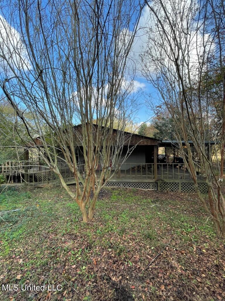 293 P Peach Orchard Road Senatobia, MS 38668 - Photo 3 of 16 peach orchard from road view