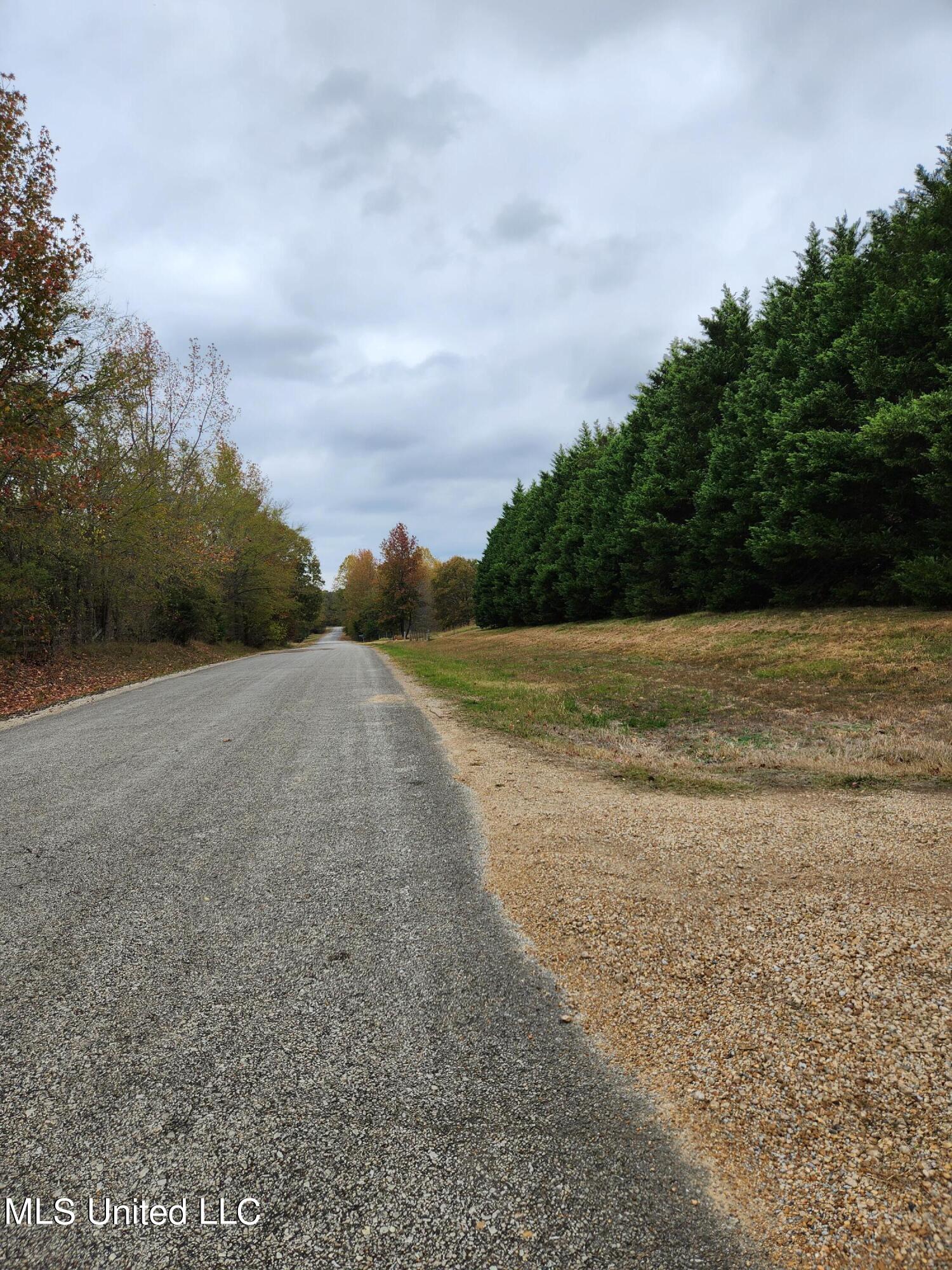 293 P Peach Orchard Road Senatobia, MS 38668 - Photo 10 of 16 peach orchard 3