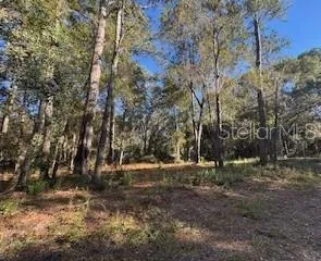a view of street sign