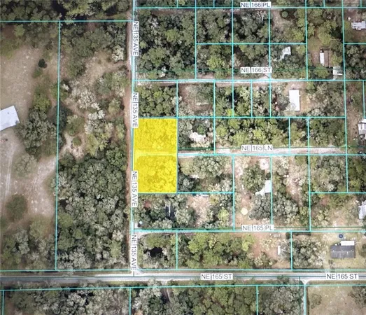 $8,200 | Tbd Northeast 135th Avenue, Fort McCoy, FL 32134