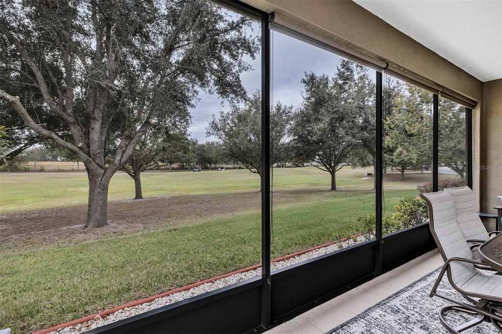 3805 Arlington Ridge Boulevard Leesburg, FL 34748 - Photo 30 of 60