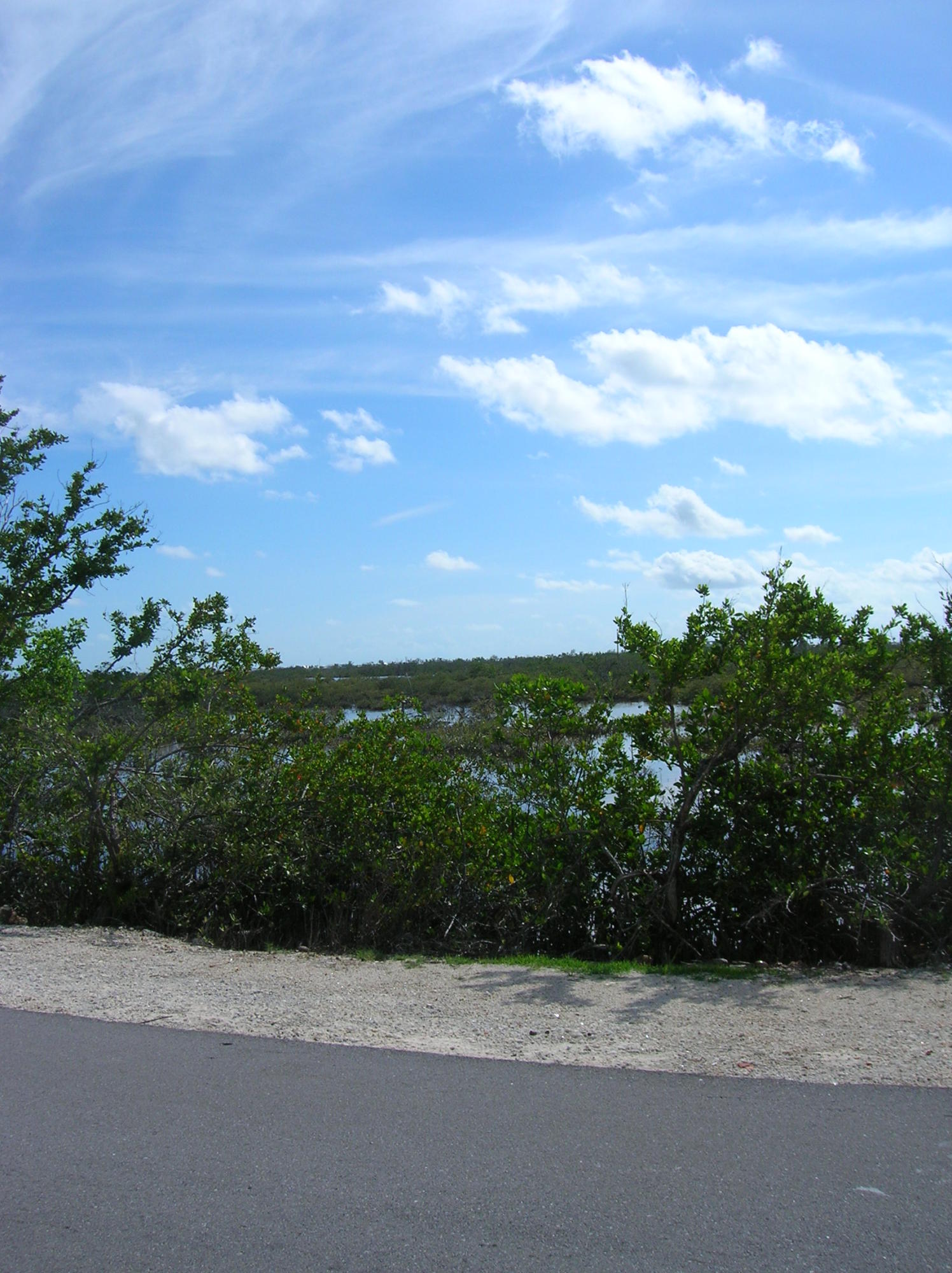 253 Pirates Road Summerland Key, FL 33042 - Photo 21 of 22 View of Salt Ponds to West