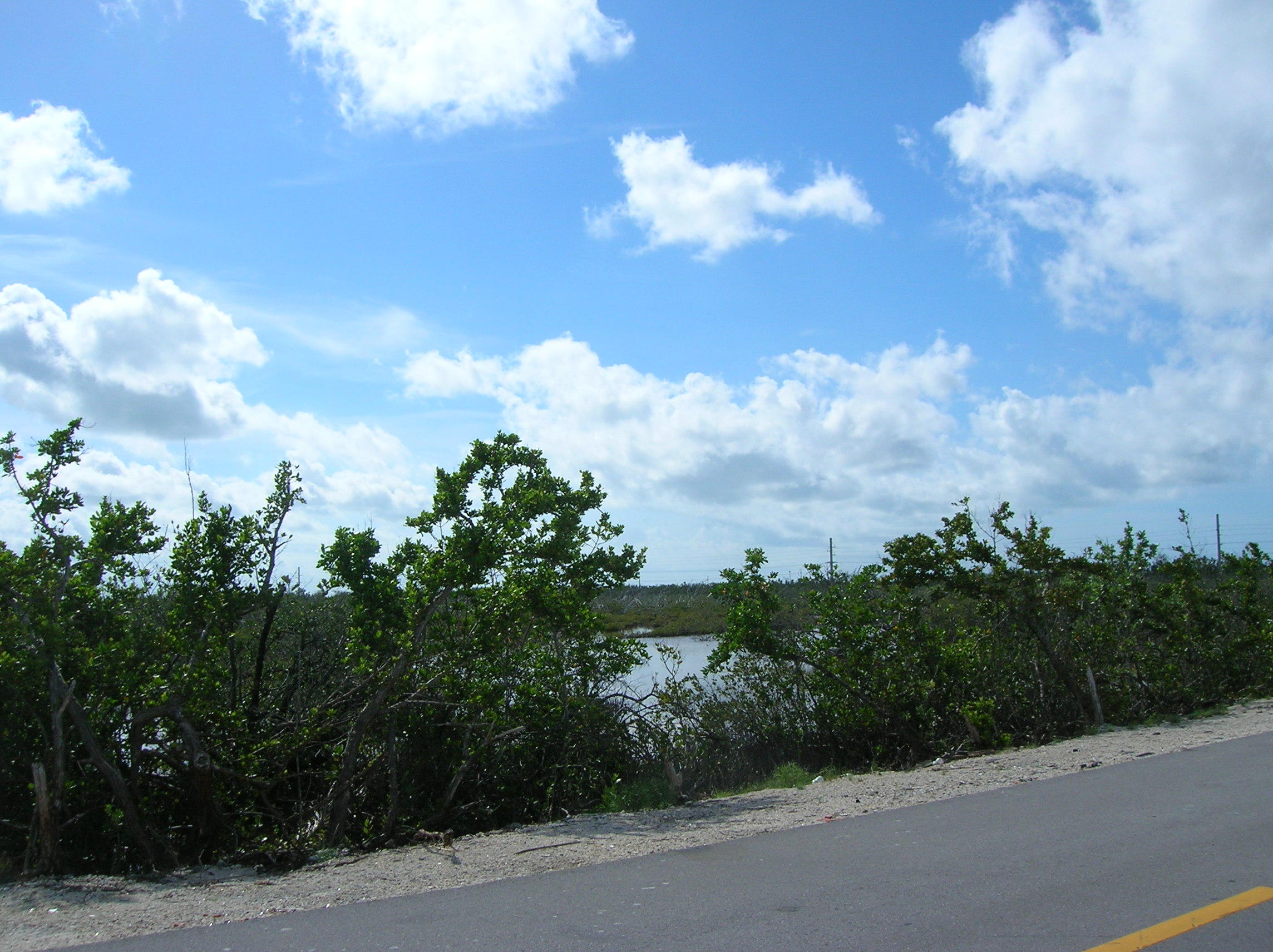 253 Pirates Road Summerland Key, FL 33042 - Photo 22 of 22 Salt Ponds