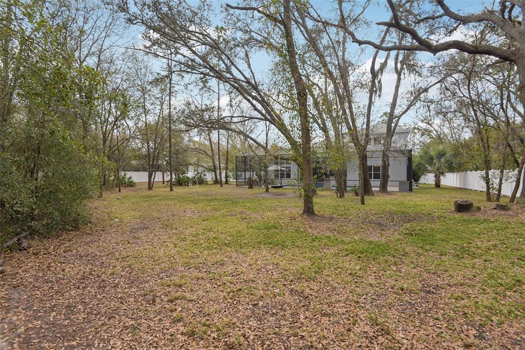 2304 Clement Road Lutz, FL 33549 - Photo 32 of 35 a view of outdoor space with trees