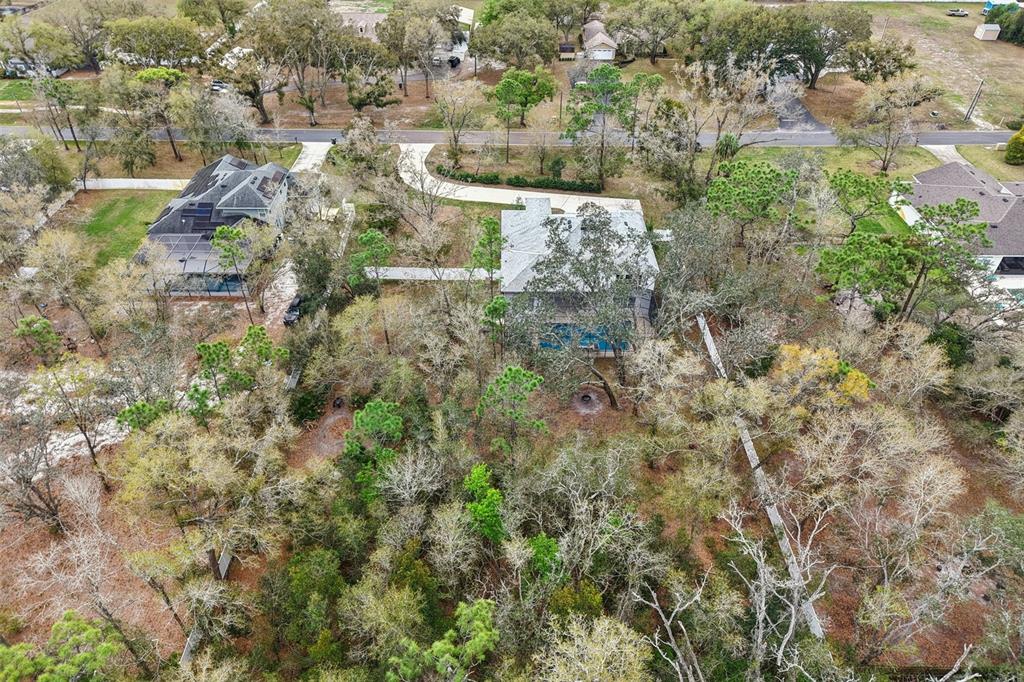 2304 Clement Road Lutz, FL 33549 - Photo 35 of 35 a view of outdoor space and trees