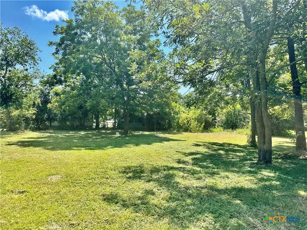 a view of a large yard with large trees