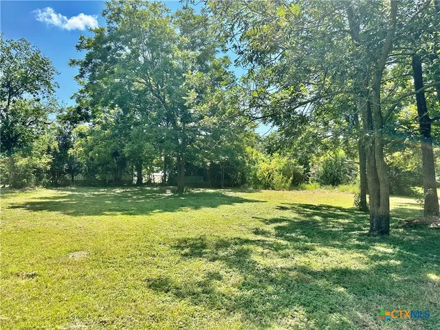 a view of a large yard with large trees