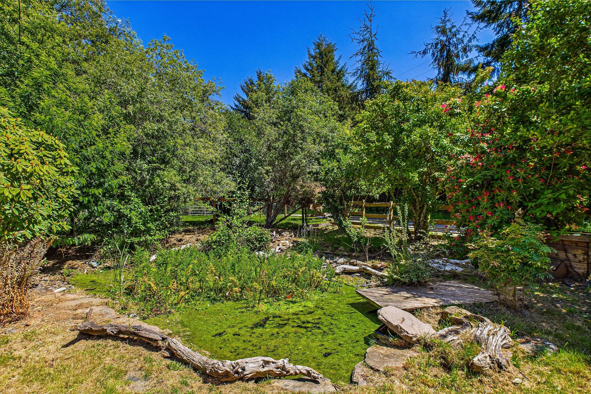 1945 Grange Road McKinleyville, CA 95519 - Photo 7 of 62 a view of a garden