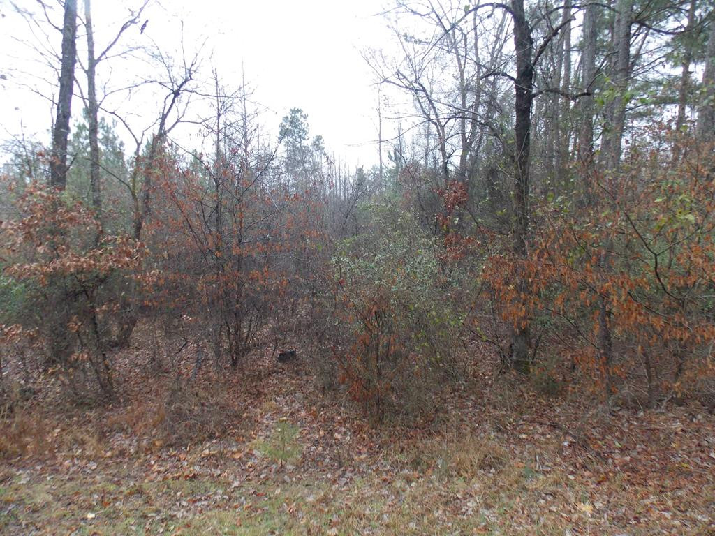 28 Remsen Road Lincolnton, GA 30817 - Photo 1 of 2 Main View