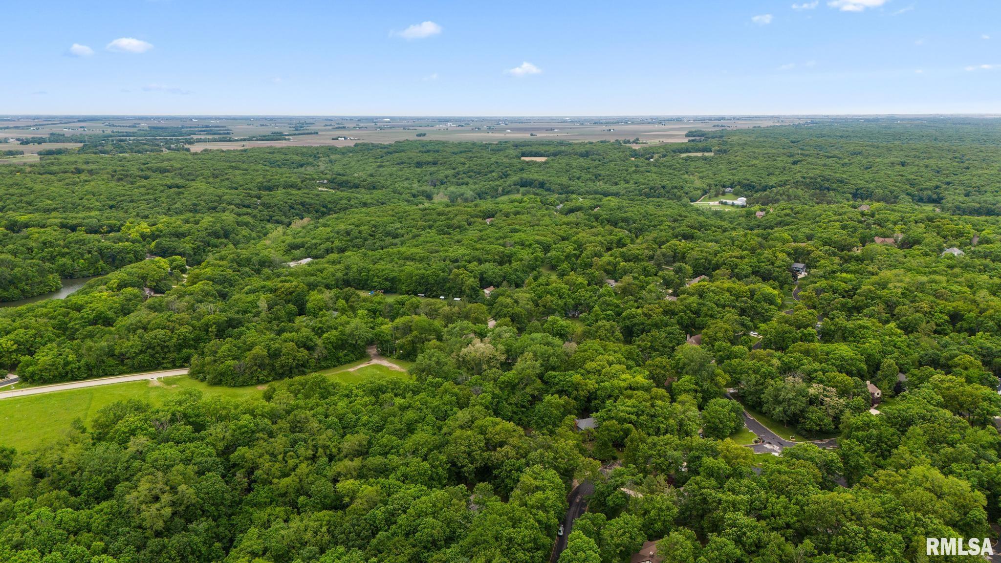 12227 Wood Ridge Court Dunlap, IL 61525 - Photo 52 of 54