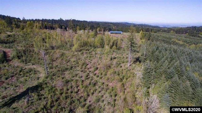 Crooked Finger (lot Road, Unit 400 & 500) Scotts Mills, OR 97375 - Photo 3 of 6
