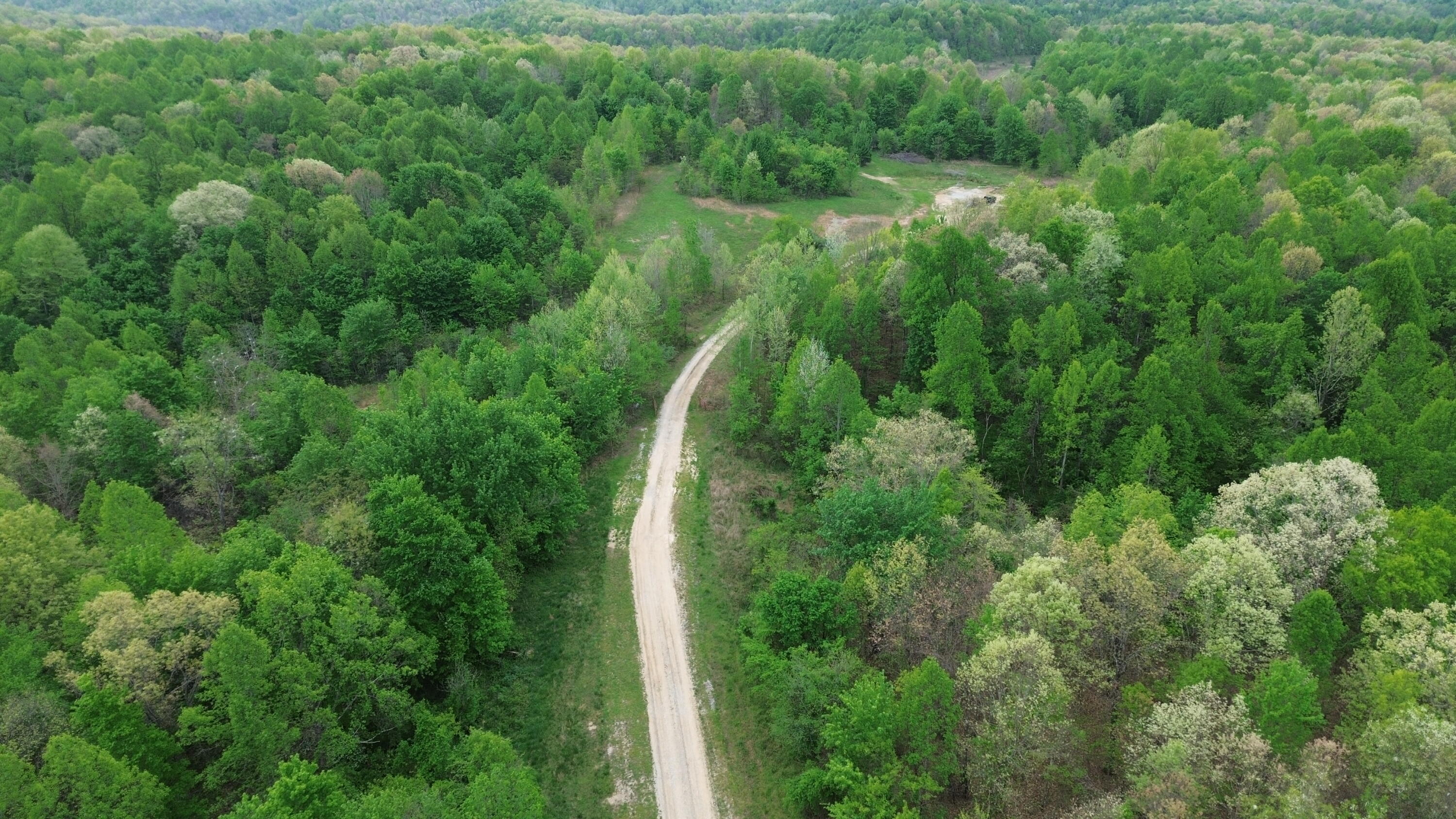 1271 A Tunnel Ridge Road Grayson, KY 41143 - Photo 14 of 134 Gravel Road