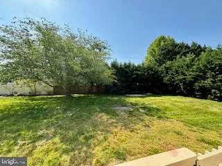 a view of yard with green space