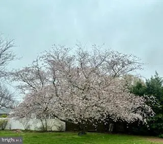 a view of outdoor space with mountain view