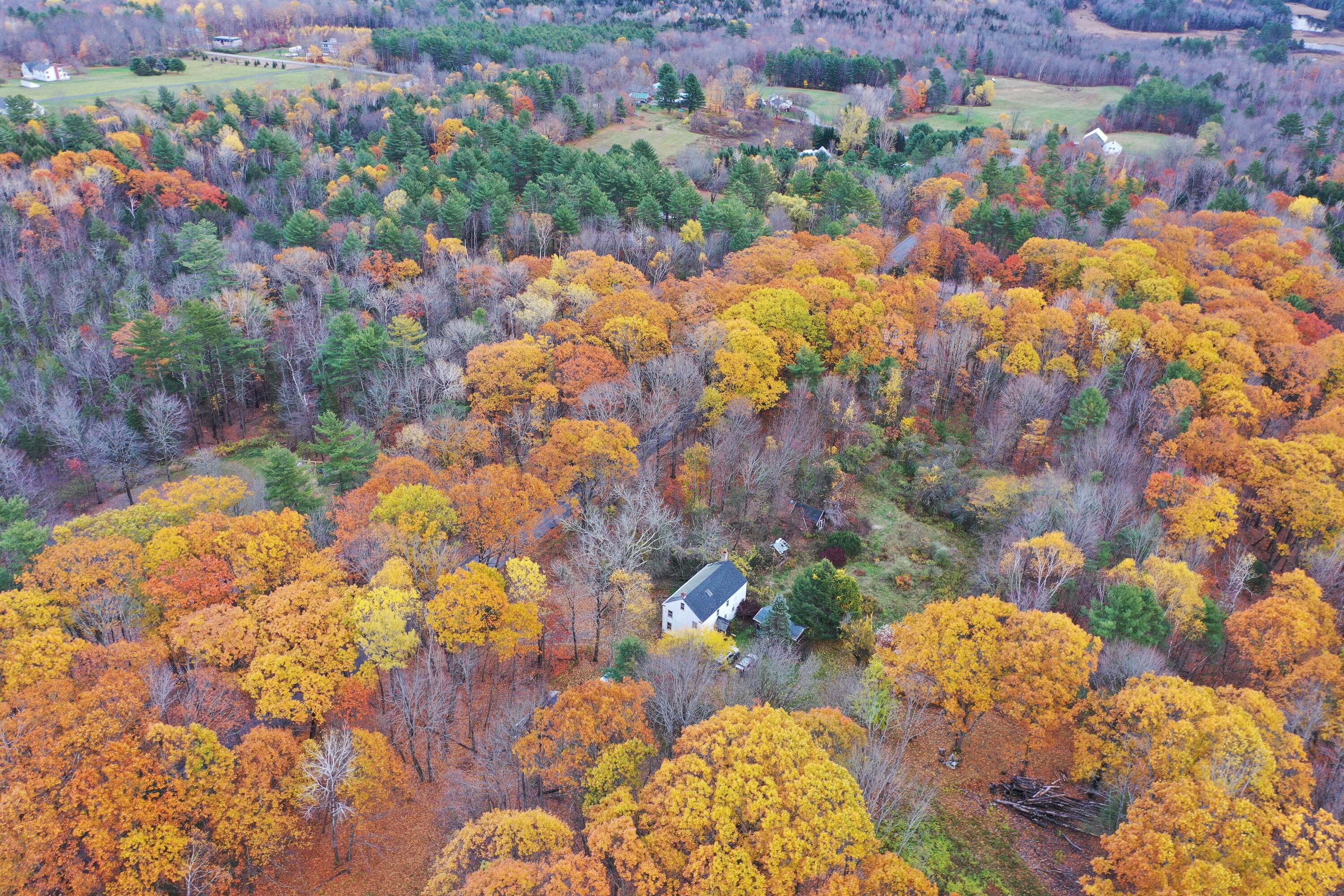 489 Back Road Skowhegan, ME 04976 - Photo 4 of 78 Looking SE