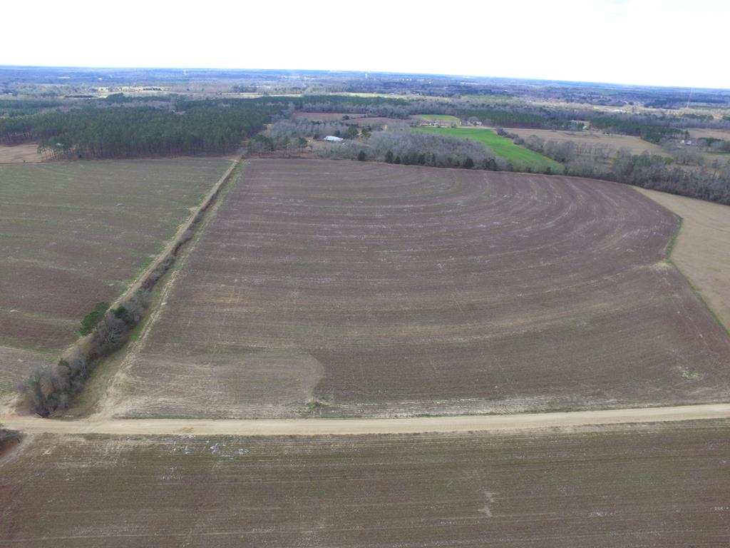 Lot 10 J B Jackson Road Ashford, AL 36312 - Photo 1 of 1