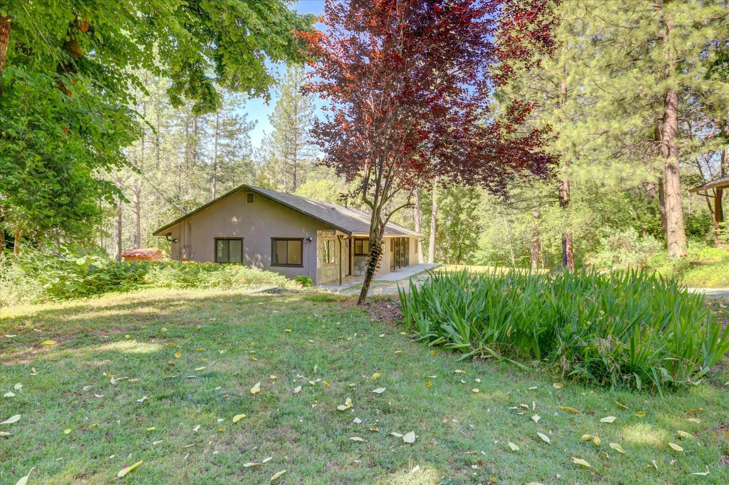 12368 East Bennett Road Grass Valley, CA 95945 - Photo 1 of 1 Gallery Image 1