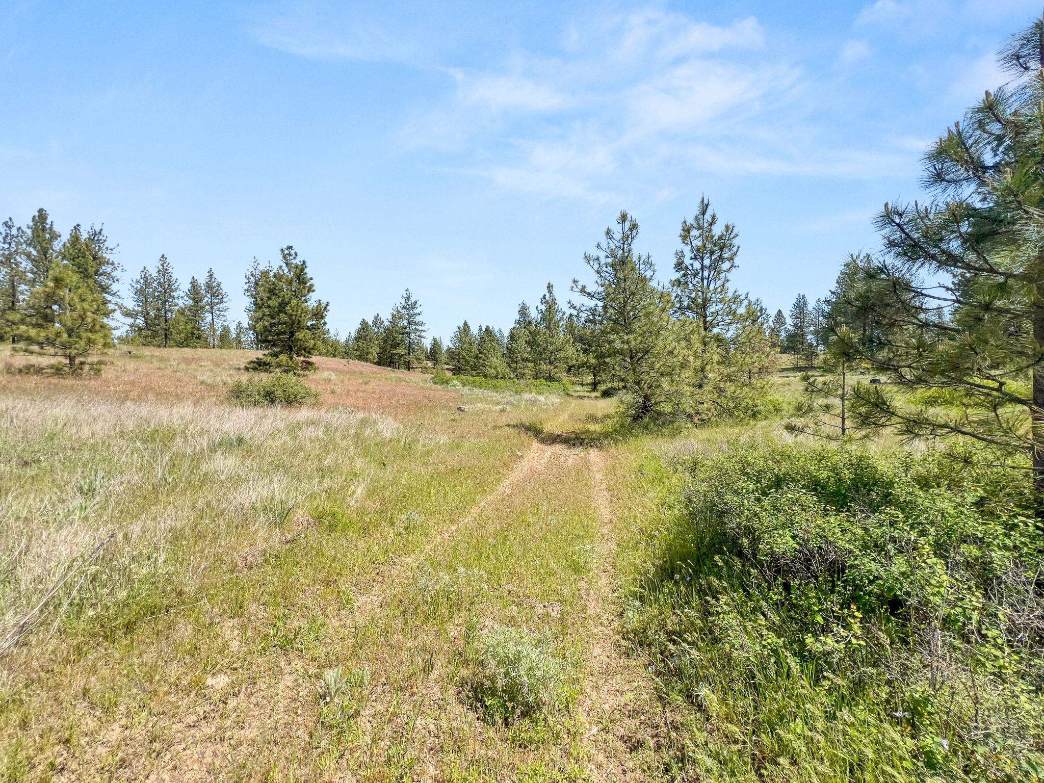0 West Highland Road Ford, WA 99013 - Photo 40 of 41