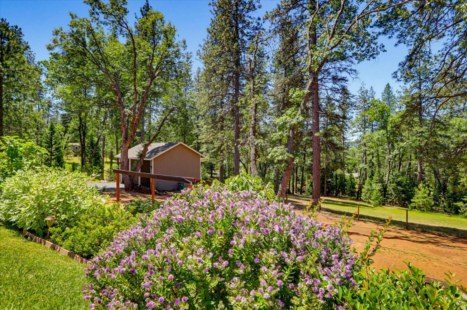 10213 Evergreen Ranch Court Grass Valley, CA 95949 - Photo 66 of 98