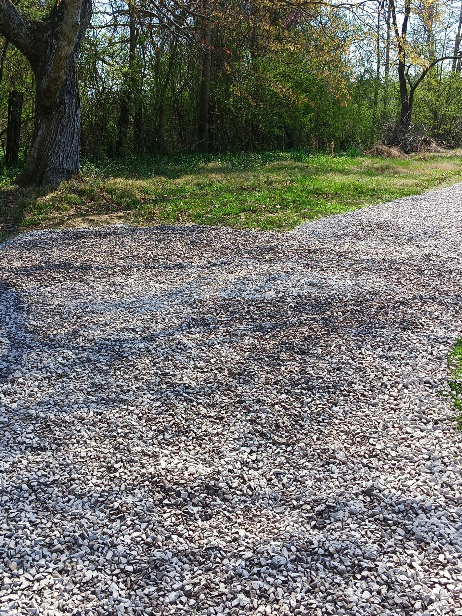 730 Seaton Loop Cohutta, GA 30710 - Photo 27 of 33 8344986608917977435