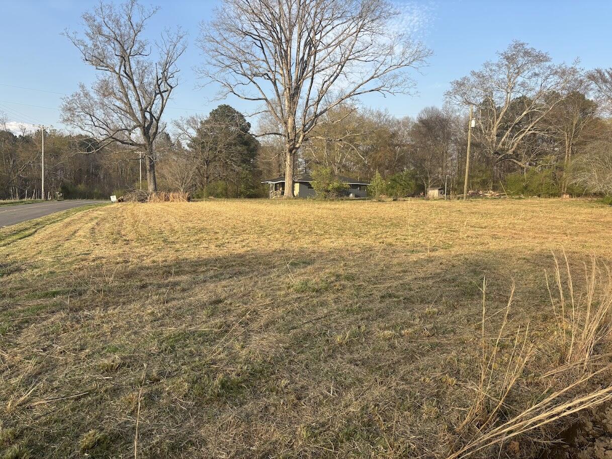 730 Seaton Loop Cohutta, GA 30710 - Photo 31 of 33 IMG_0964