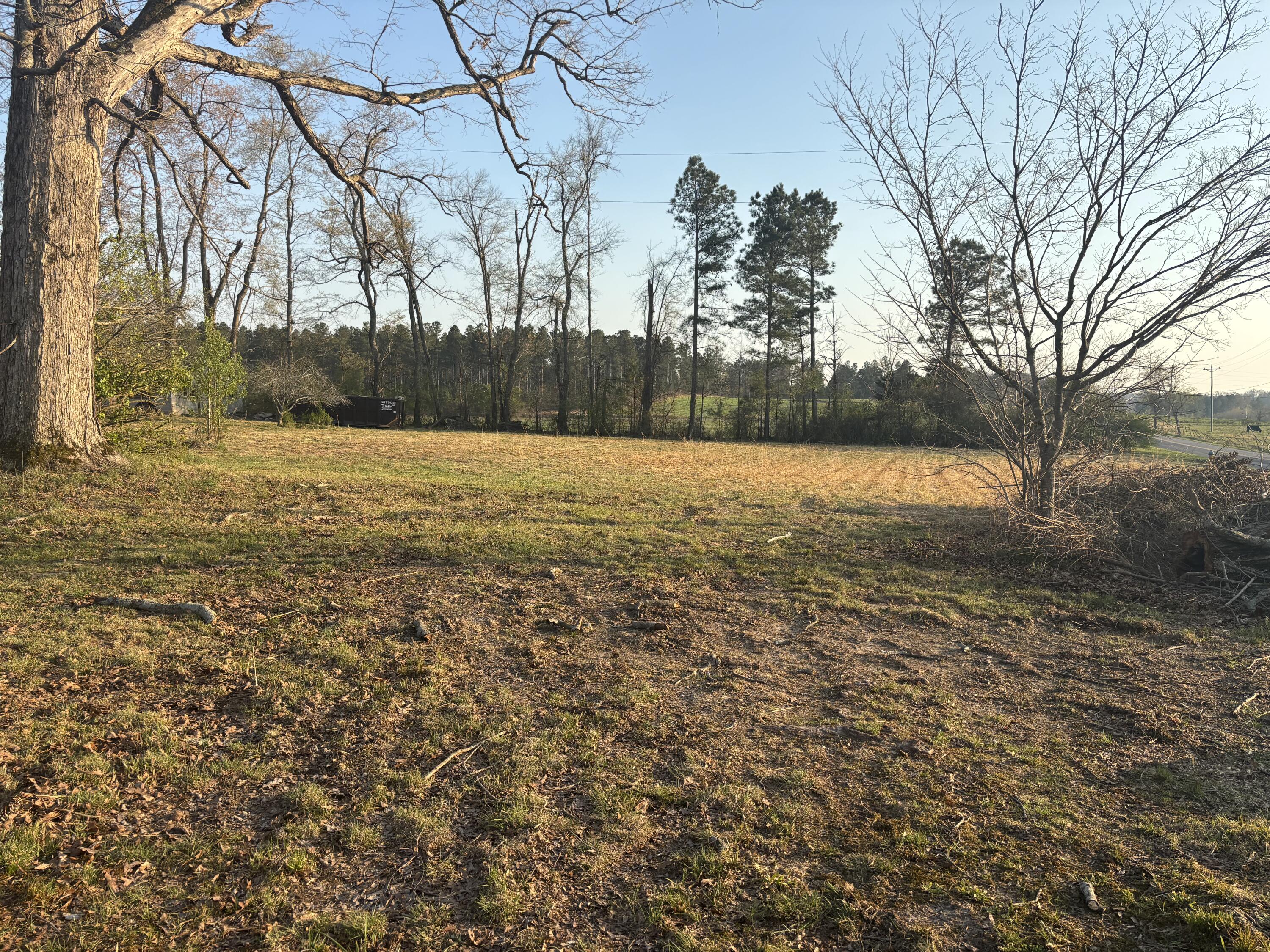 730 Seaton Loop Cohutta, GA 30710 - Photo 32 of 33 IMG_0968