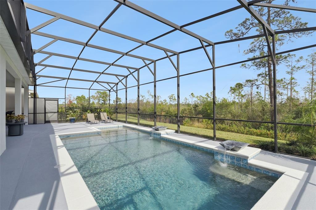 2745 Nature Vw Road St. Cloud, FL 34771 - Photo 5 of 50 a view of a backyard