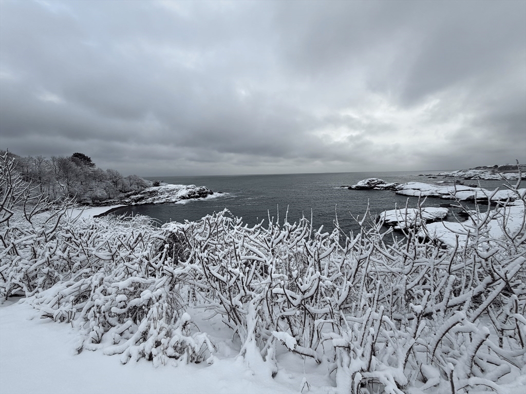 162 Willow Road, Unit 11 Nahant, MA 01908 - Photo 19 of 20